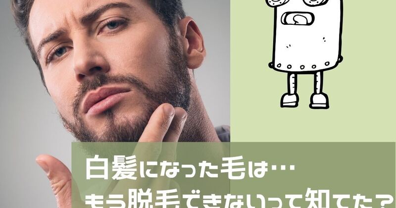知らないと損】白髪になった毛は脱毛できない。だから今の毛が“資産”です