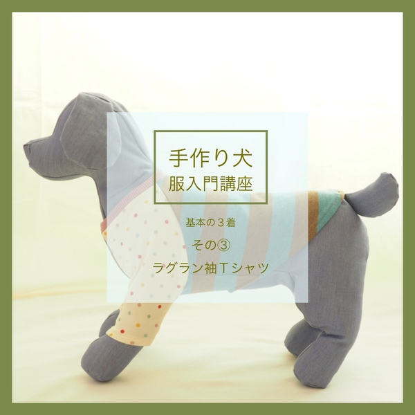 No.23 ハンドメイド犬服 ラグラン半袖Tシャツワンピース No.23 ハンドメイド犬服 ラグラン半袖Tシャツワンピース