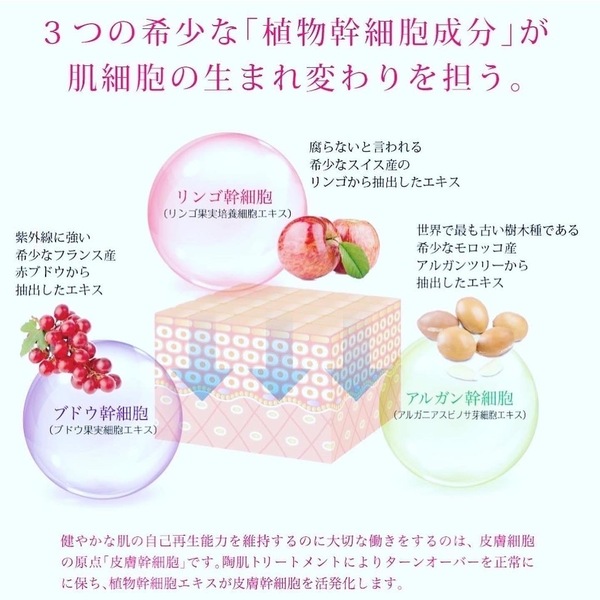 枚方/陶肌トリートメントでお肌の土台から細胞に元気を。