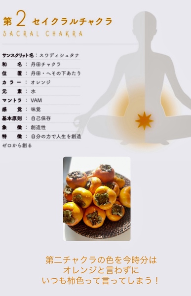 チャクラパワ－を開く ヨ－ガのポ－ズから瞑想・呼吸法でチャクラのバランス チャクラパワーを開く (GAIA BOOKS) | メアリー ホーズリー