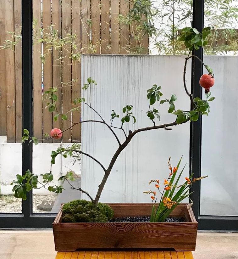 柘榴と姫檜扇水仙