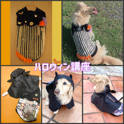 犬服  ラグラン(Ｓ)   ꒡̈⃝Lily꒡̈⃝ハンドメイド  ☆ハロウィン☆ 楽天市場】ハロウィンコスチューム ラグランTシャツ半袖犬 小型犬