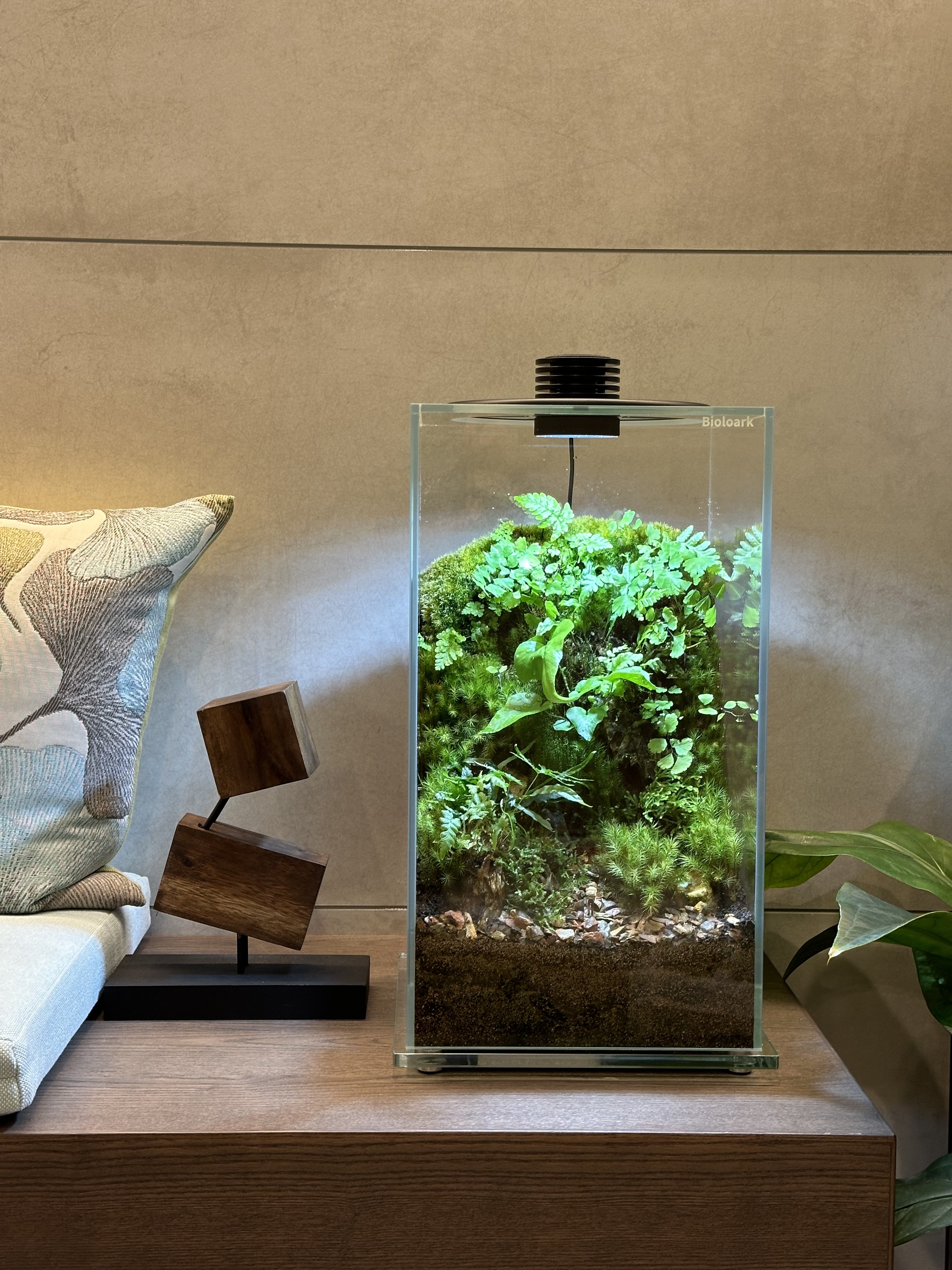 杉並来店予約】テラリウム専門店Feel The Garden杉並本店