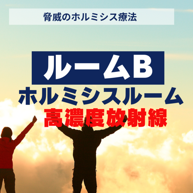 ラドンホルミシスルーム（Bルーム）