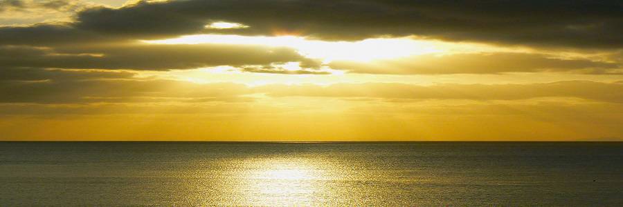 原宿当たる占い師5選 順震