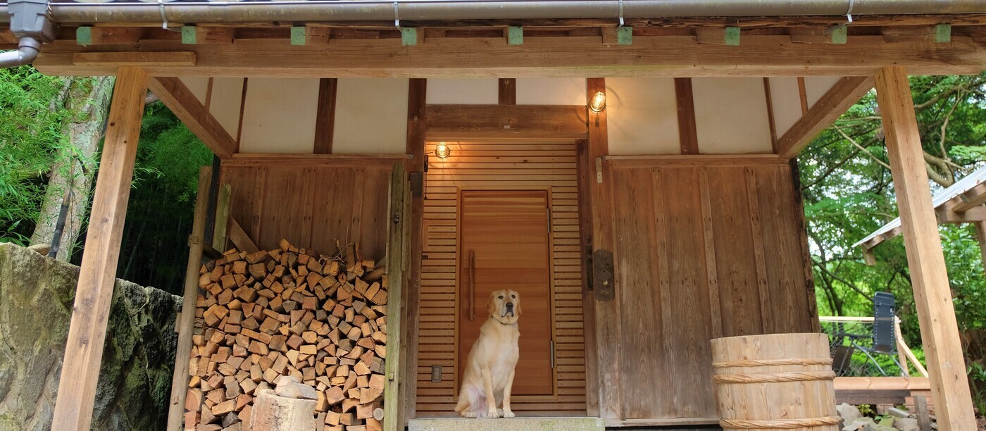 KOAMIGAME（コアミガメ）