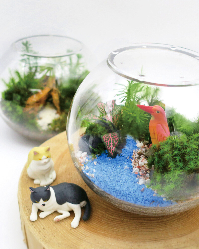 テラリウム　オブジェ niifelabo（ニーフェラボ）