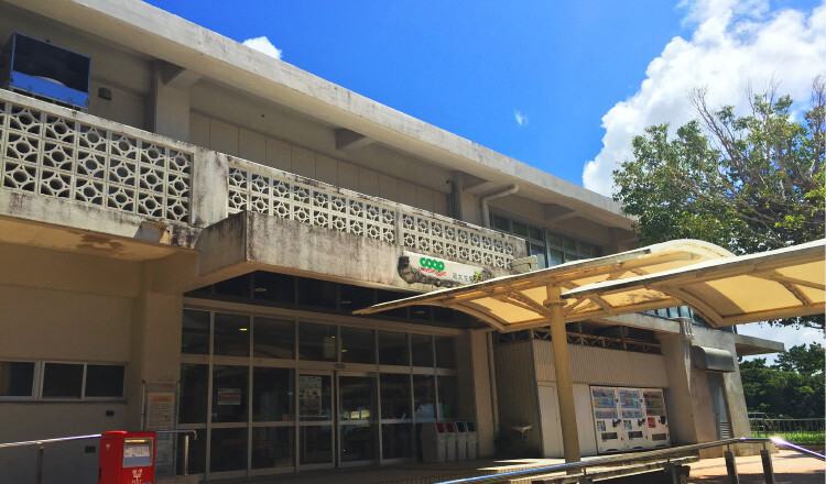 琉球大学 hakuho-1-800x533.jpg