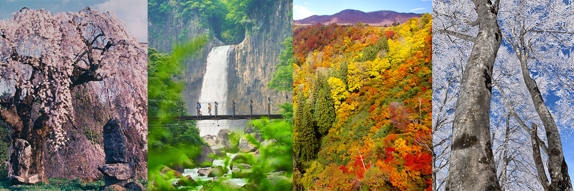 信越自然郷公式オンライン予約サイト | 長野と新潟にまたがる大自然