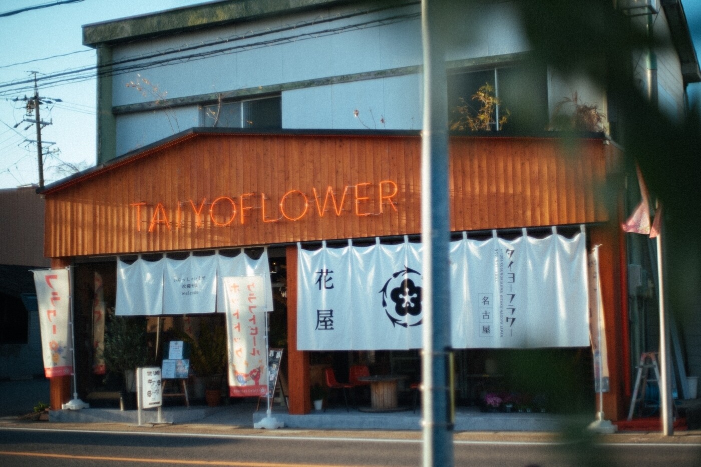 taiyoflower878のレビュー