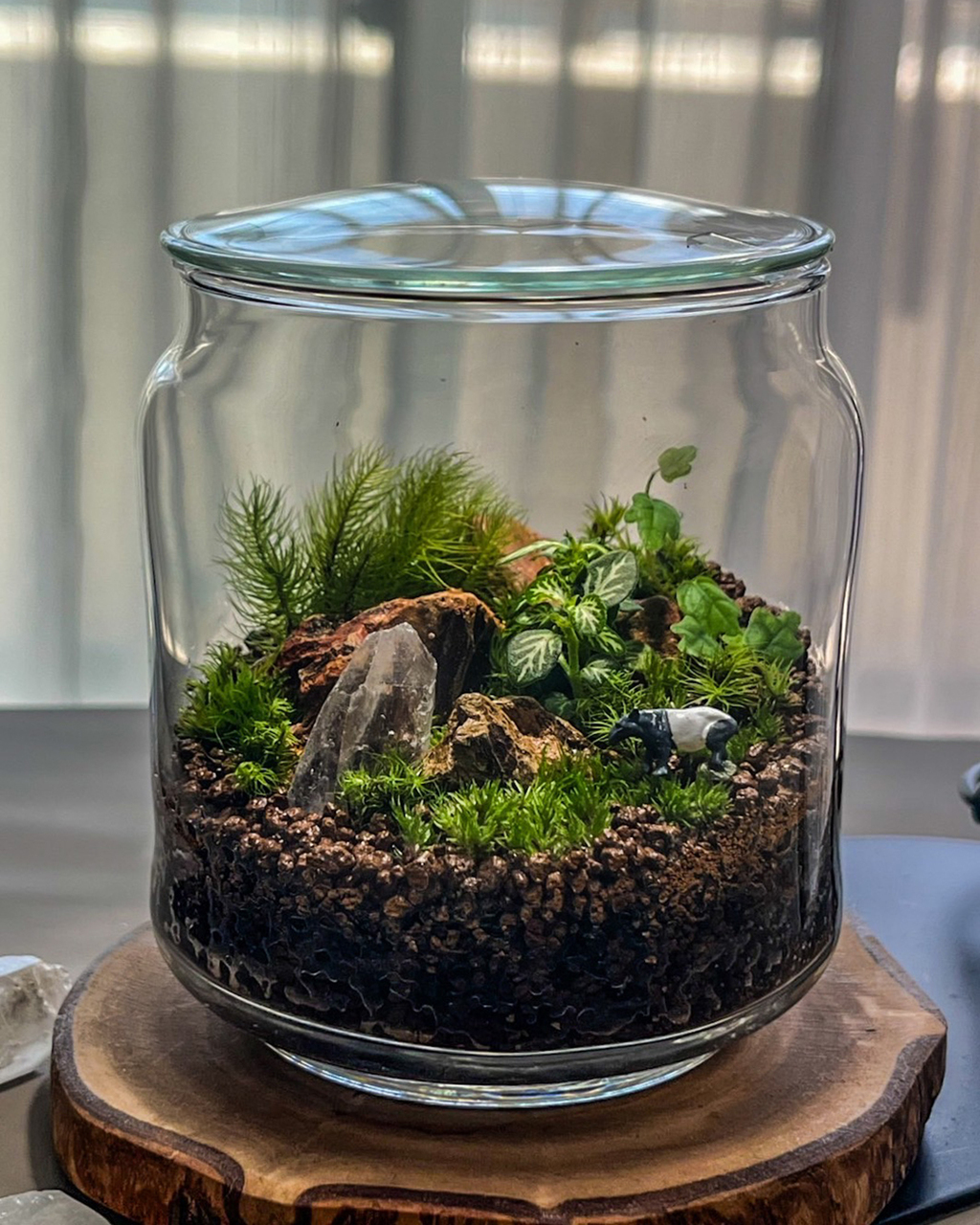 町田市鶴川｜苔テラリウムワークショップ｜amaoto｜木曜は雨音の森へ。