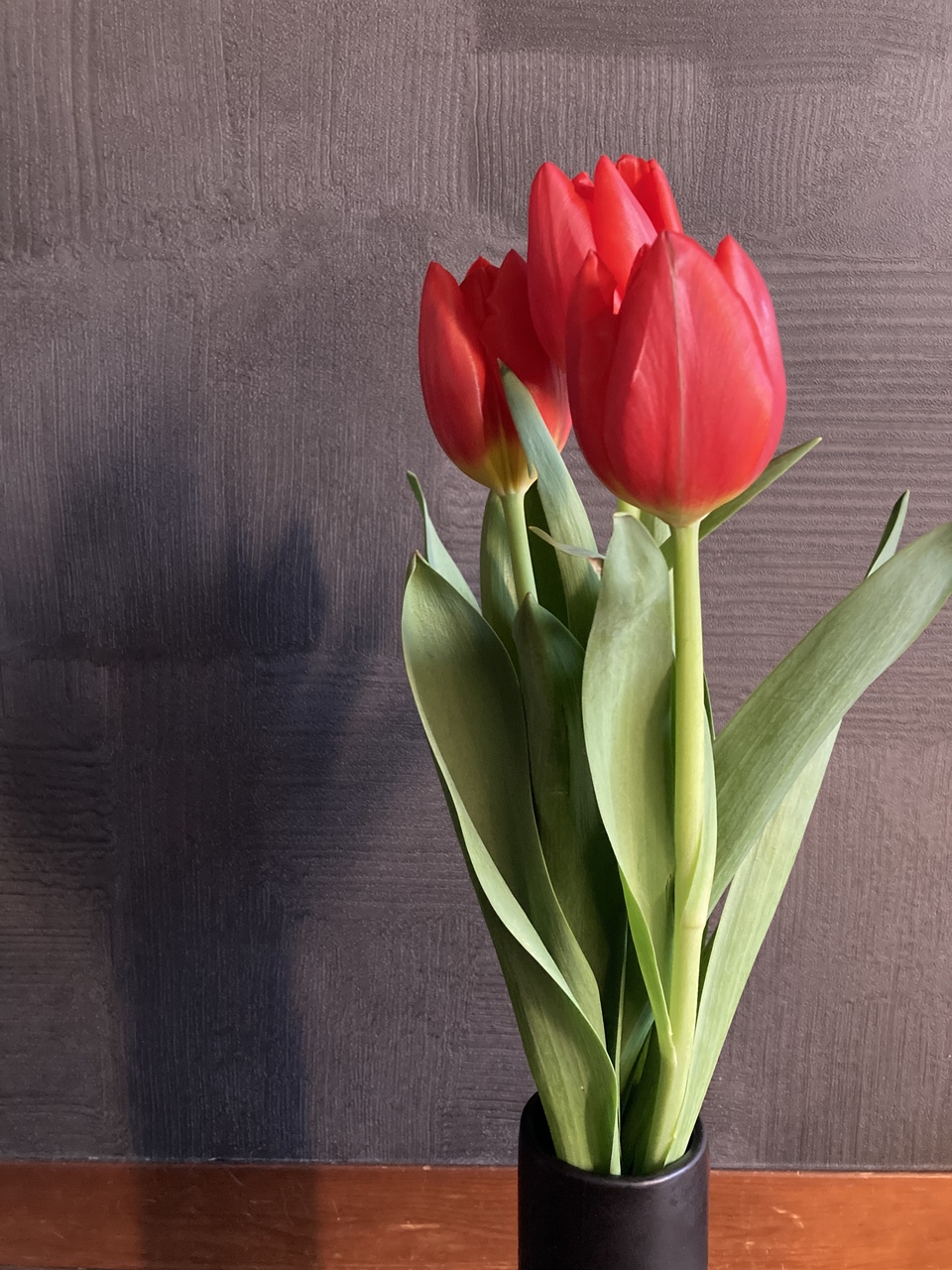 220216/頭痛緩和（耳ツボ編）】