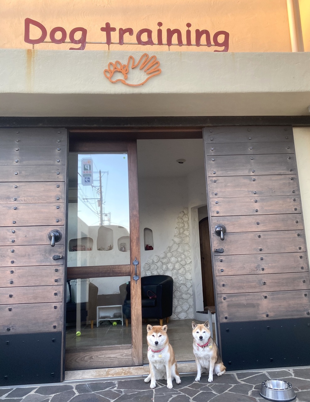 湘南で大人気の犬のトレーニング教室「パップスフレンズ」