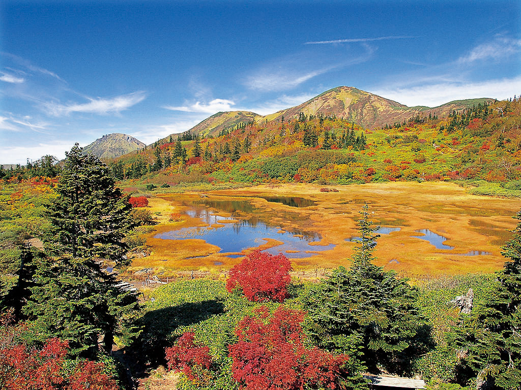 信越自然郷公式オンライン予約サイト | 長野と新潟にまたがる大自然