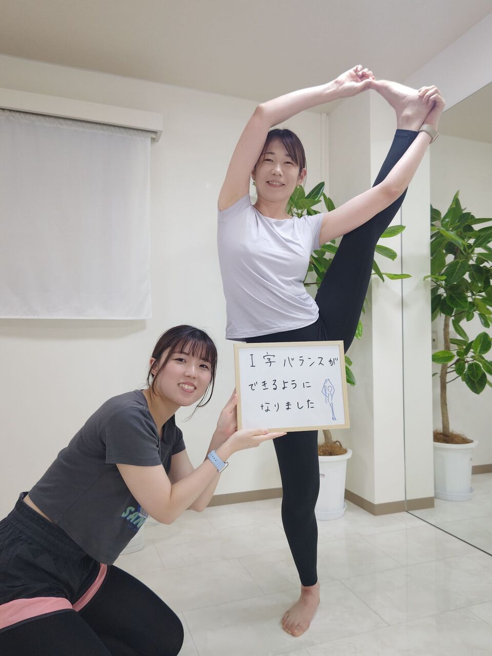 スパインコレクター　割引可能 スパインコレクター