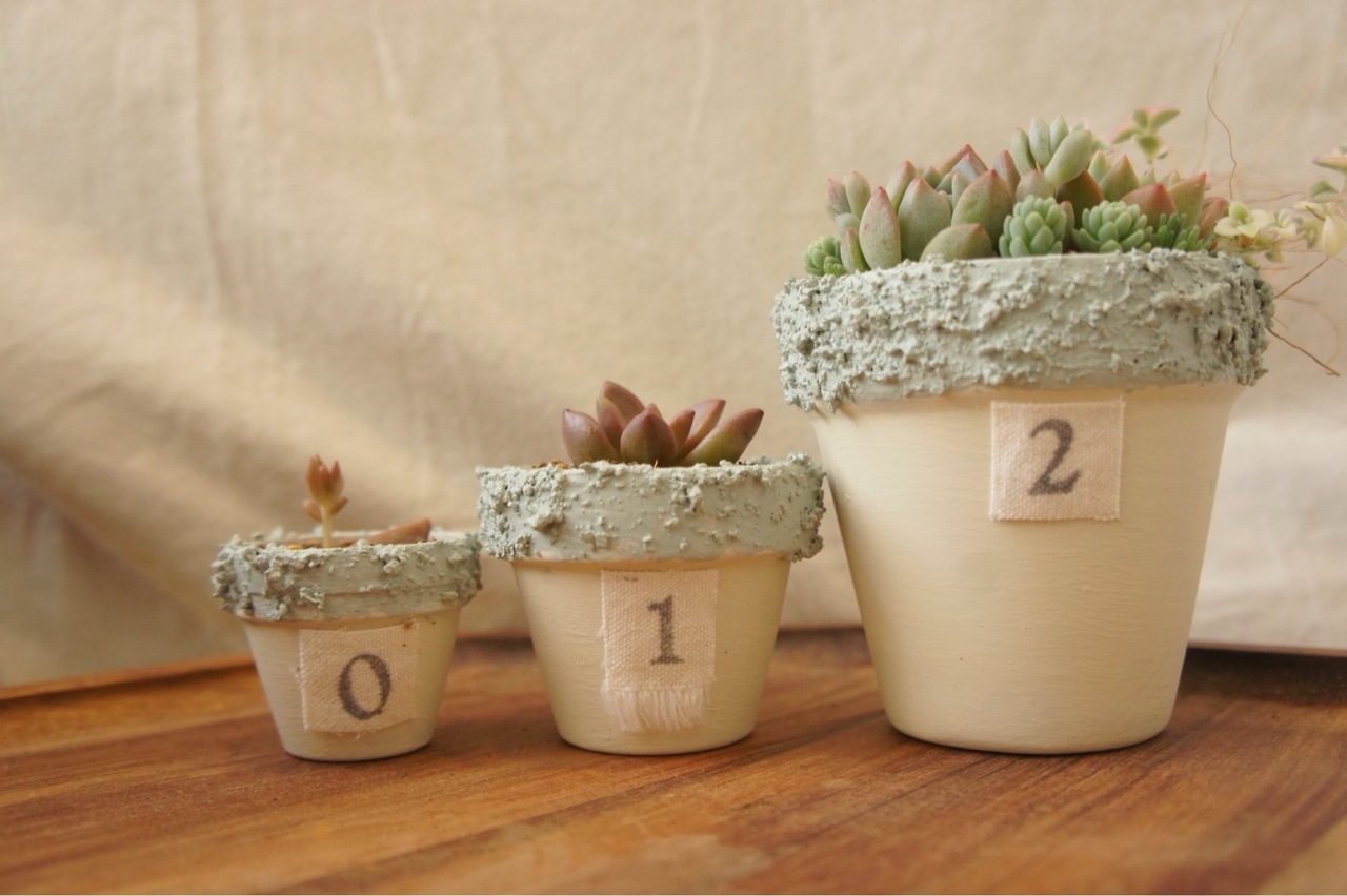 p1280x1280_tonttu_succulents_9