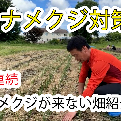 自然栽培20年実施のノウハウ教えますの予約サービス