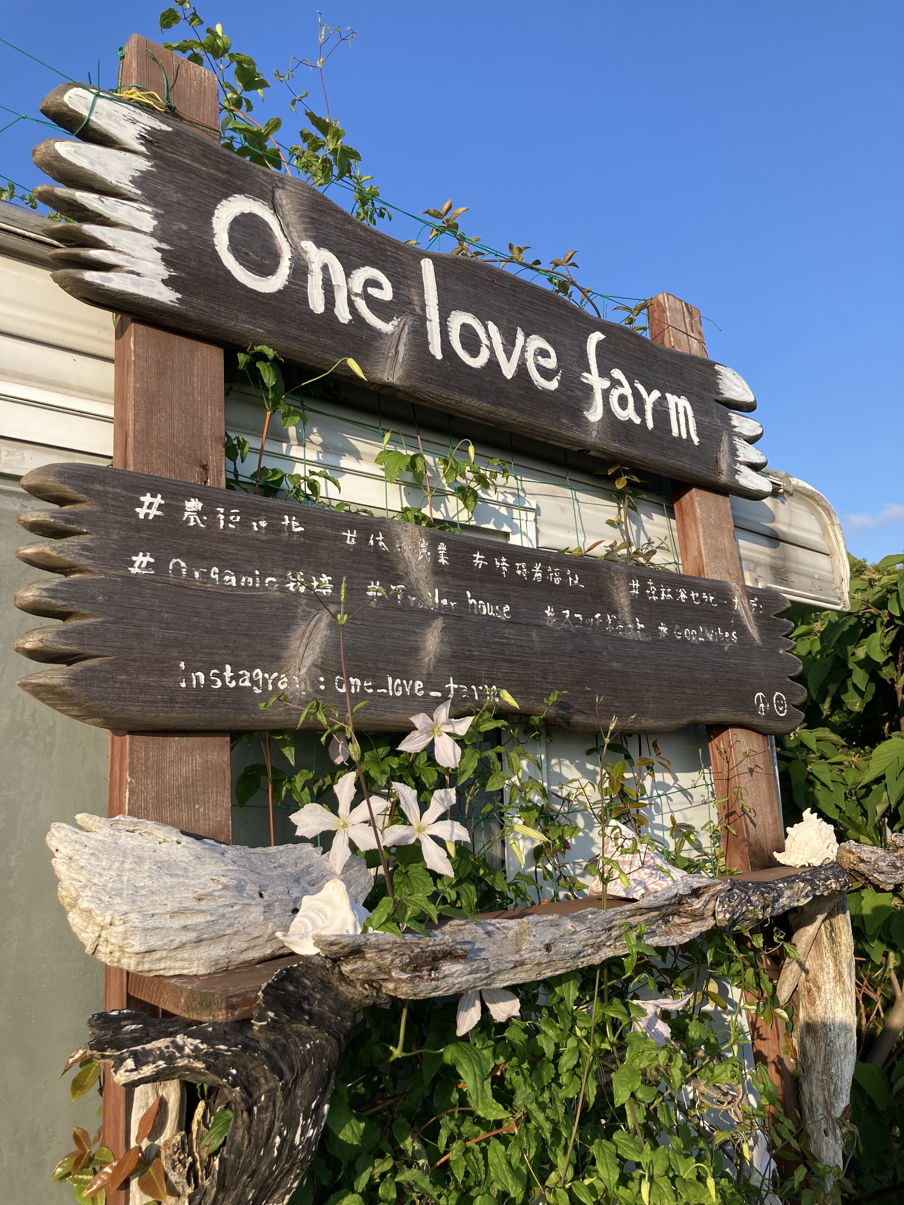 onelovefarm/わん・らぶふぁーむ/じねんじょう/自然生/自然薯/山芋
