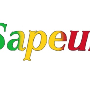 オーダースーツSapeur