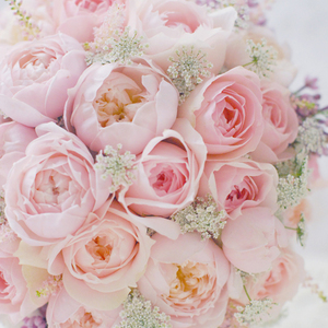 FlowerStudioFLORAFLORA ちいさな花の教室