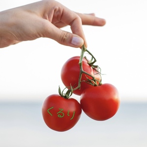 秩父別町くるり