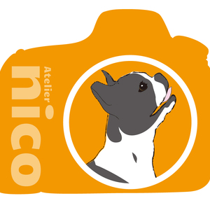 アトリエnicoの予約・問い合わせのージです。