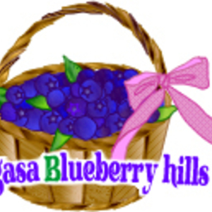 nagasablueberryhills