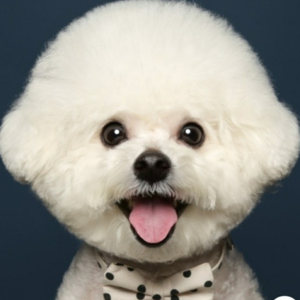 韓国語ストーリーテリング教室 (Korean StoryTelling) 