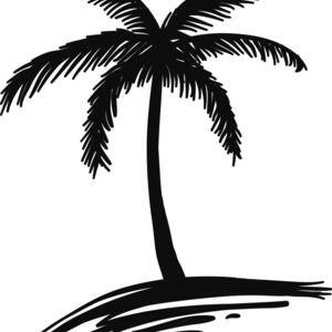 allows garden design