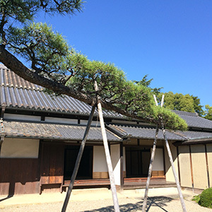 史跡重要文化財 鴻池新田会所