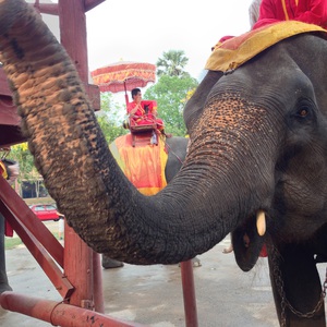 リラクゼーションサロン 市花