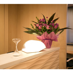 リハビリテーション・フィットネス・コンディショニング【からだLab東京】