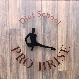 PRO BRISE 【プロブリーズ】