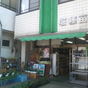 野菜のたね・苗専門店　堀種苗店