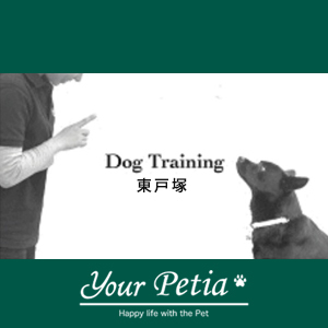 ユアペティア東戸塚店　犬のしつけ教室