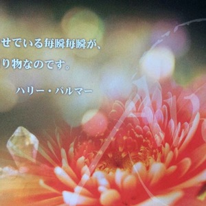 アバター®︎インフォアワー ⭐️【アバター®︎コースを知る1時間】