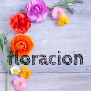 floracion