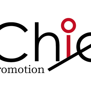 promotion　chie