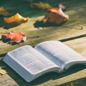 ゆらりと読書会