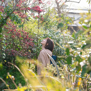 ヨガセラピー　横浜　Greenery YOGA Theraphy