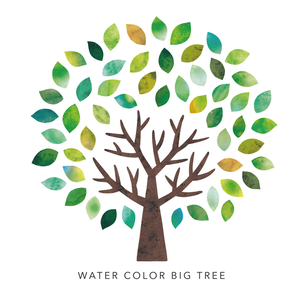 練馬あけみ保育園