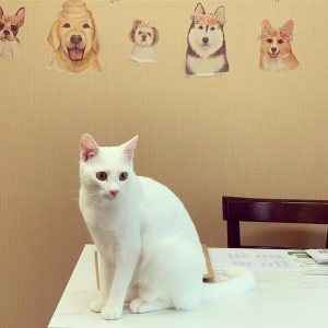 ペットホテル「メゾンドファミーユ」