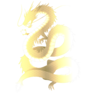 フラップフォーチュンスクール