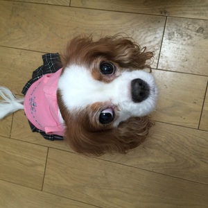 美容室アービル