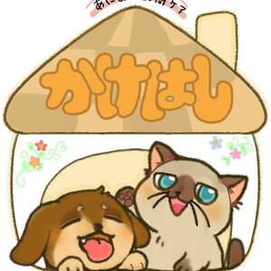 かけはし予約サイト