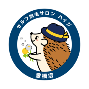 セルフ脱毛サロン ハイジ豊橋店