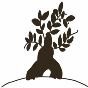 PT conditioning room