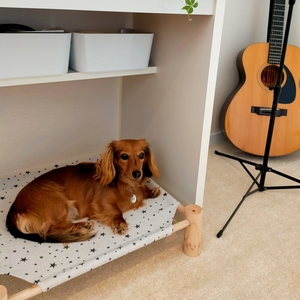 ボーカル教室トーンピア