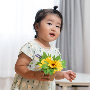 宝塚市の高齢者サポート・身元保証｜ひまわりの風