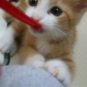 愛と調和のソウルガイダンス